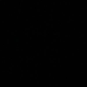 Meet your Posher, Lizzie